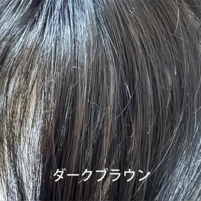 レディース メンズ ナチュラル ウィッグ ダークブラウン