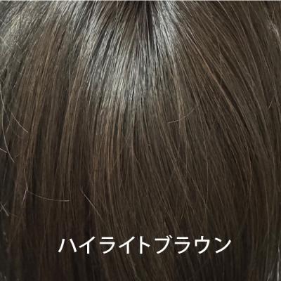 レディース メンズ ナチュラル ウィッグ ハイライトブラウン